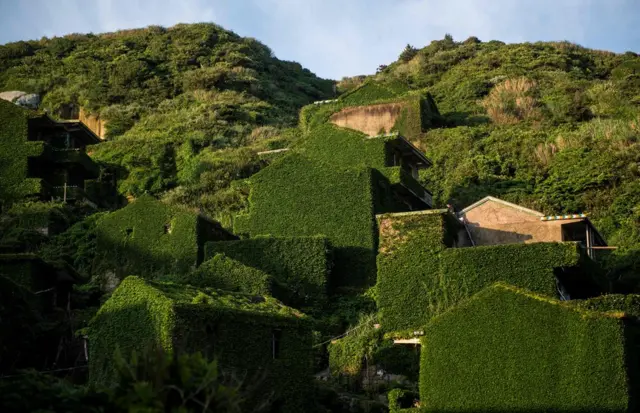 Abandoned village houses covered with overgrown vegetation in Houtouwan on Shengshan island