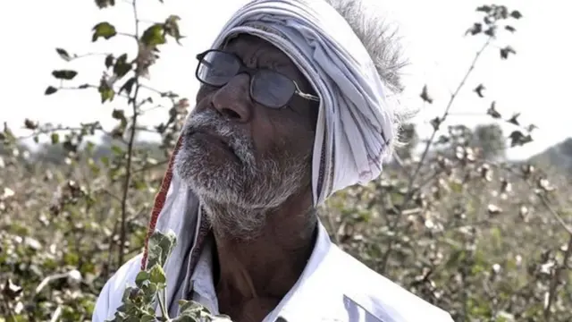 પ્રતીકાત્મક તસવીર