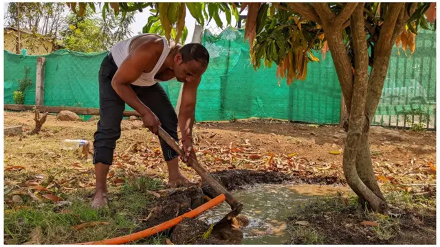 विनोद निकोले