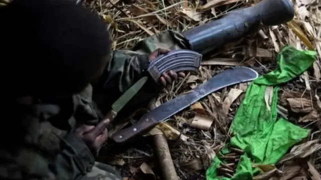 Baadhi ya makundi yanaundwa na raia wa nchi hiyo, lakini kuna makundi mengine makubwa ambayo yanafadhiliwa ama kupambana za serikali za nchi jirani.