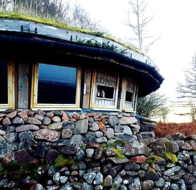 బఫీ , అలెక్స్ కలిసి పరిరక్షక ప్రాజెక్టుల్లో పని చేస్తున్నారు