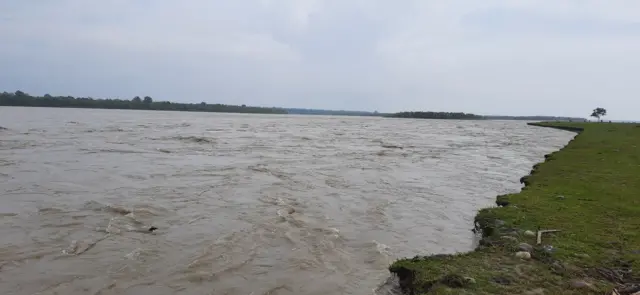 सिसौली टप्पु-चिलिया बस्ती हुँदै पसेको कोशीको भँगालोले बेलका नगरपालिकाका पाँचवटा वडा प्रभावित भएका थिए। त्यसपछि कोशीको धार २०४५ साल अघिकै अवस्थामा फर्किएको अधिकारीहरूले जनाएका थिए