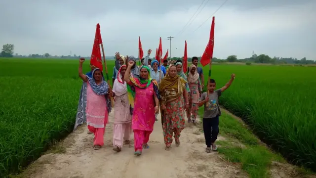 ਸਾਂਝੀ ਖੇਤੀ