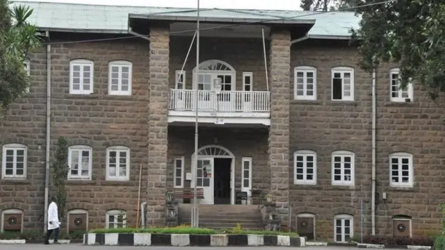 ትካል ምርምር