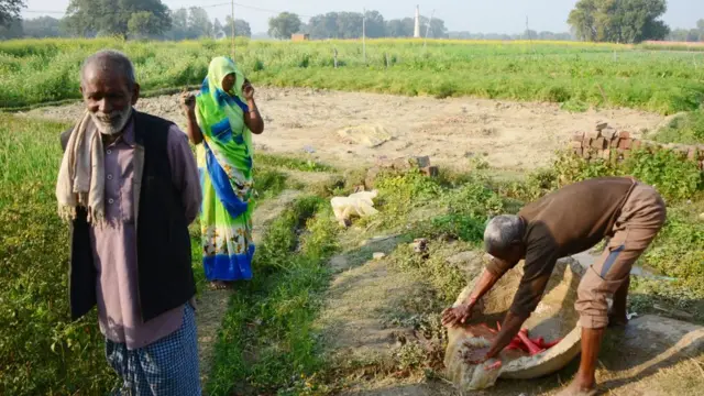 వ్యవసాయం