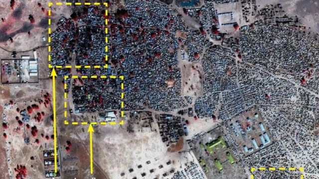 Amnesty International