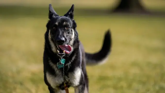 Eeyga madaxweynaha Mareykanka