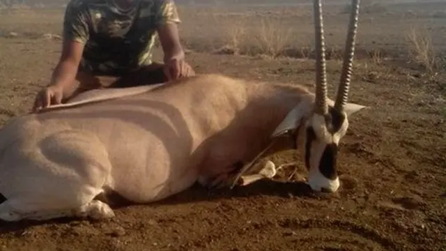 Bineensa adamoon ajjeefame