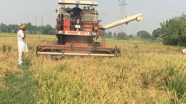 Punjab farmer Suicide