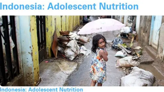 perempuan, indonesia