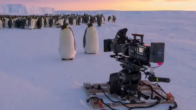 In 2016, wildlife cameraman Lindsay McCrae received some great news. He'd been offered the job of a lifetime: filming emperor penguins in Antarctica as part of a small team working on David Attenborough's new BBC series Dynsasties.