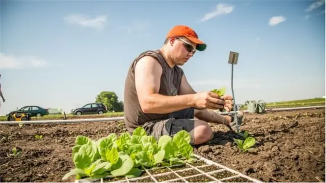 তামাক গাছে জৈব প্রযুক্তির সাহায্য নিয়ে যুক্তরাষ্ট্রের বিজ্ঞানীরা এমন ব্যবস্থা করেছেন যাতে সেটি স্বাভাবিকের তুলনায় ৪০% বড় হতে পারে।
