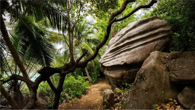 Reserva ecológica da ilharoleta vivoMoyenne