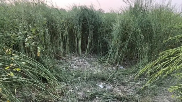 ఘటనాస్థలం