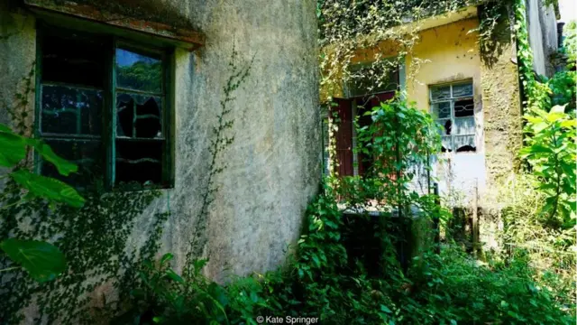Yim Tin Tsai was once home to a thriving Hakka community