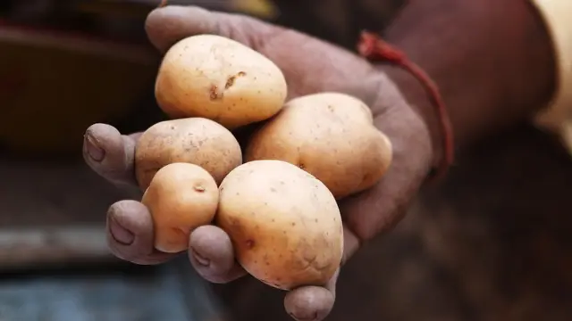 ఆలుగడ్డలు