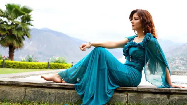 محکمہ وائلڈ