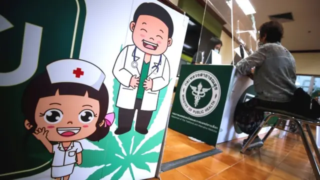 تھائی لینڈ، بھنگ