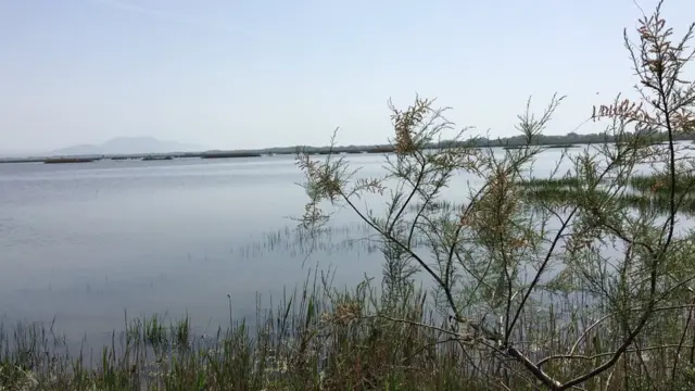 Солана, 14. април 2018.