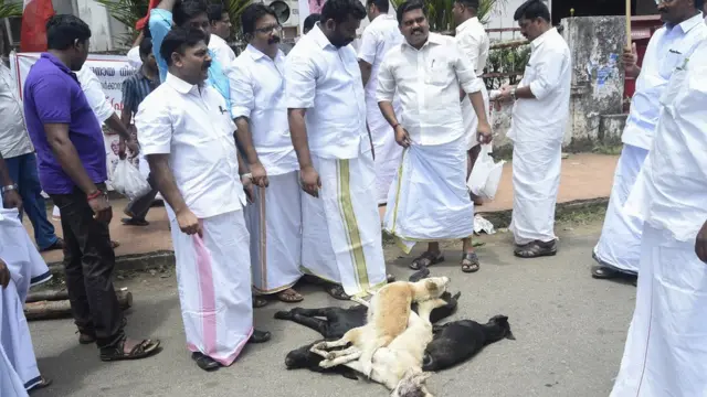 কেরালায় পিটিয়ে মারার পর বেওয়ারিশ কয়েকটি কুকুরের মরদেহ নিয়ে রাস্তায় বিক্ষোভ।