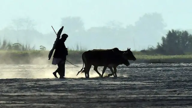 भारतीय किसान