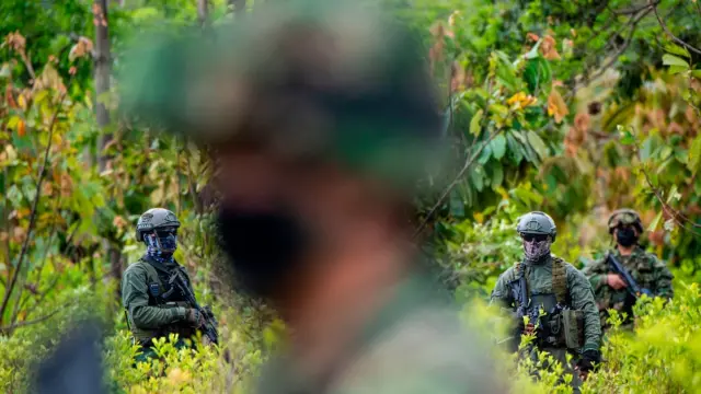Guerra contra las drogas