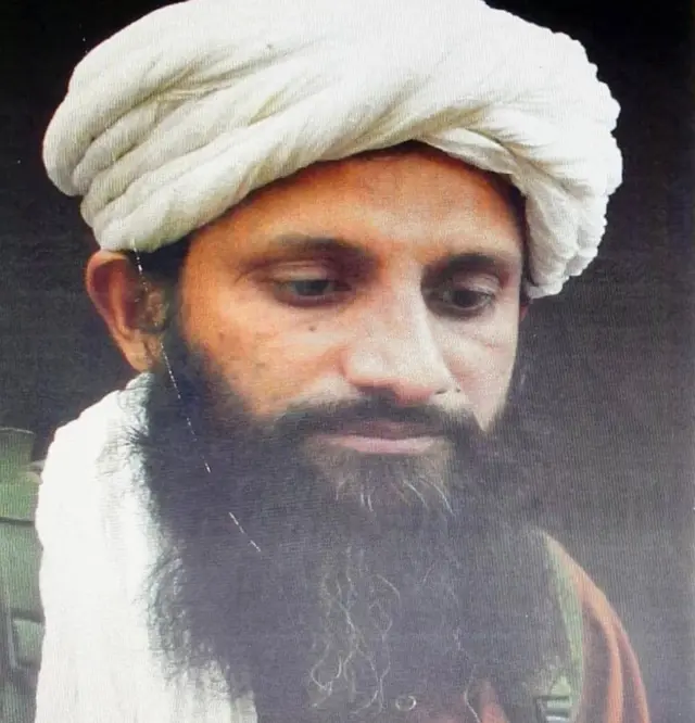 سازمان ملل گفته که عاصم عمر، رهبر شبکه القاعده در شبه جزیره هند در قلمرو طالبان کشته شده است