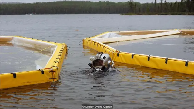 潜水员在水下放置沙袋以加固北湖实验湖区的围栏 (Credit: Lesley Evans Ogden)