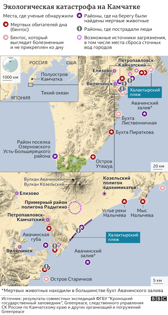 Как создать презентацию: правила создания эффективных презентаций