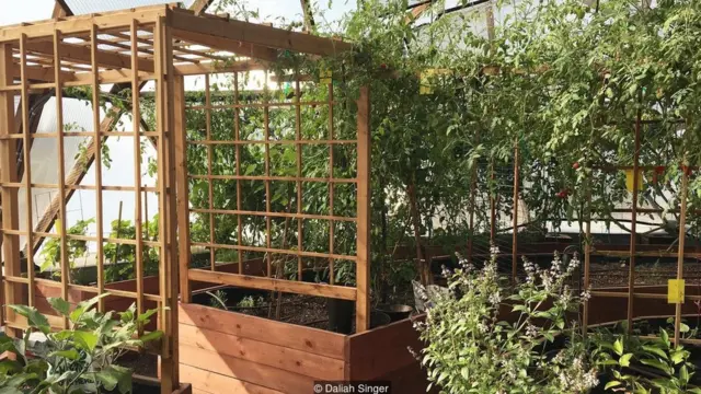 हॉट स्प्रिंग