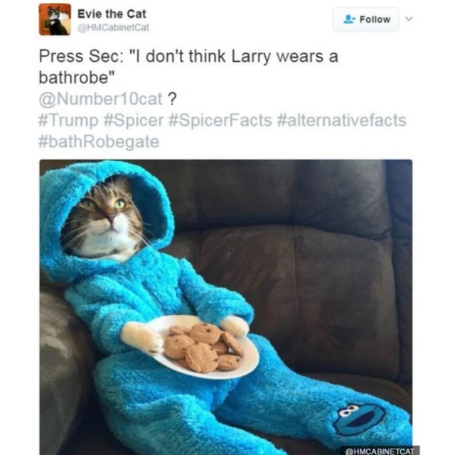 10 डाउनिंग स्ट्रीट की पालतू बिल्ली लैरी