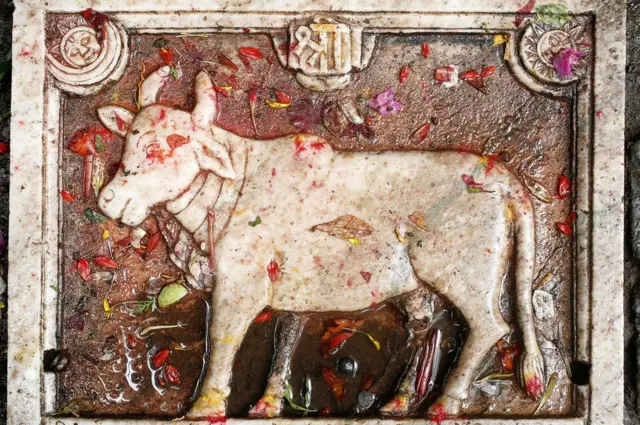 Hindu, हिंदू, हिंदुत्व, सहिष्णुता, भारतीय राजनीति, मध्यकालीन भारत, भारत का इतिहास, हिंदू धर्म, हिंदू मान्यताएं, अगेंस्ट द ग्रेन, डी एन झा, भारतीय इतिहासकार, Against the Grain, DN Jha, Hindu, Intolerance, Indian History, Ancient India