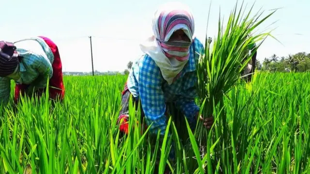 விவசாயிகள்