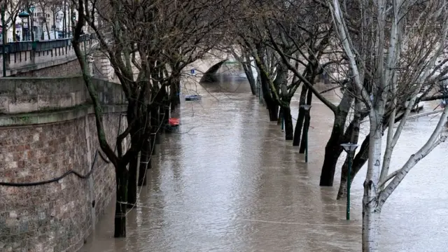 затопленная аллея