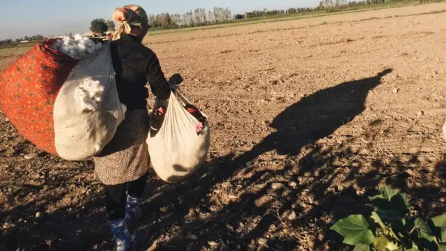 Қарорда ўқитувчилар иштироки тилга олинмади.