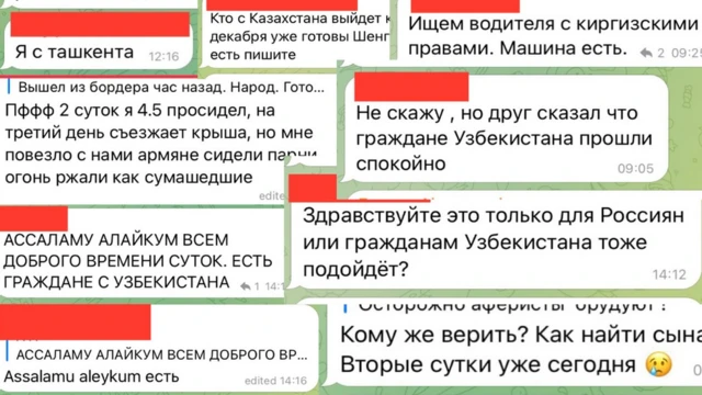 Телеграмдаги мигрантлар чатрумларидан ёзишмалар