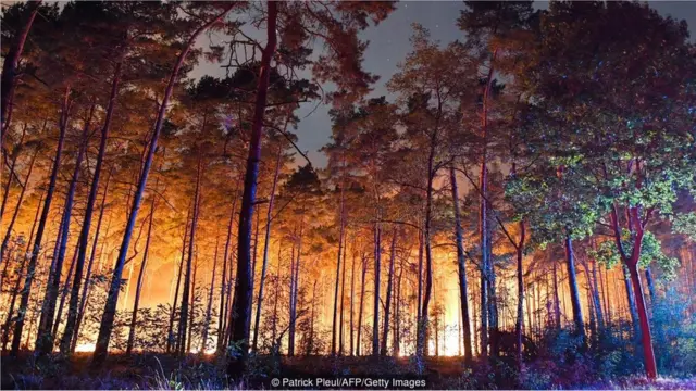 जंगल में आग