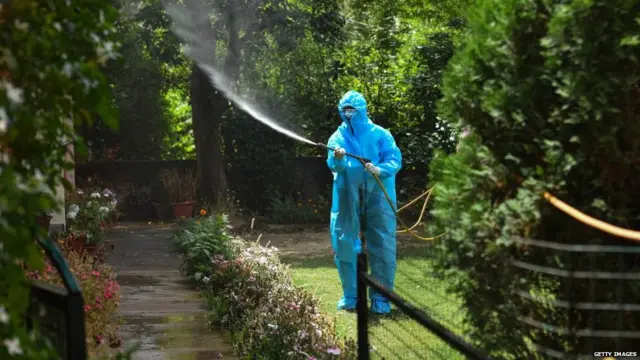 कोरोना वायरस