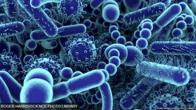 ਨਿਓਕੋਵ - ਸੰਕੇਤਕ ਤਸਵੀਰ