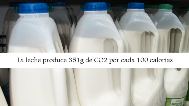 Un gráfico sobre el consumo de CO2 en la producción de alimentos