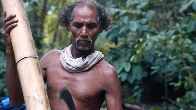 चेरिया वेलुता