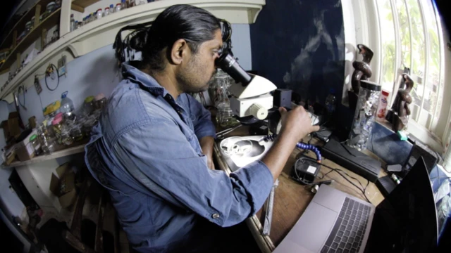 නව සත්ව විශේෂ 26ක් ලොවට හඳුන්වා දුන් ශ්‍රී ලංකාවේ 'ඩාර්වින් පවුල'