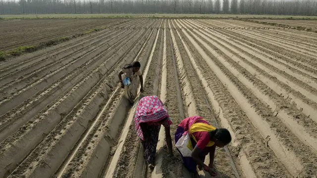 મહિલાઓની તસવીર
