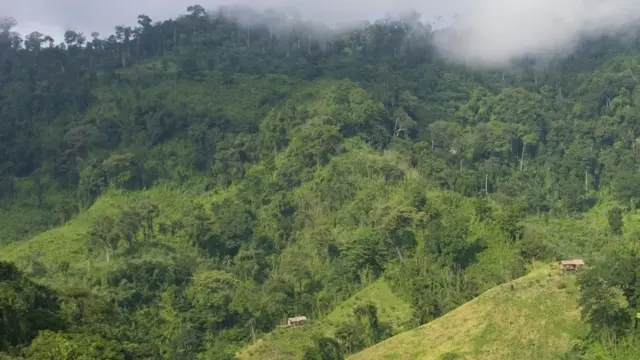 বাংলাদেশ-মিয়ানমার সীমান্তের দুর্গম পাহাড়ী এলাকায় আশ্রয় নিয়েছে বৌদ্ধ শরণার্থীরা