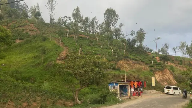 இலங்கையில் முற்றும் நெருக்கடி: மலையகத் தொழிலாளர்களின் நிலை என்ன?