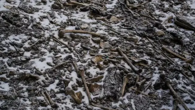 ਹਿਮਾਲਿਆ ਕਰੋਪੀ