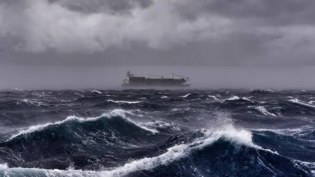 terapung, laut, bertahan hidup, paus, kapal