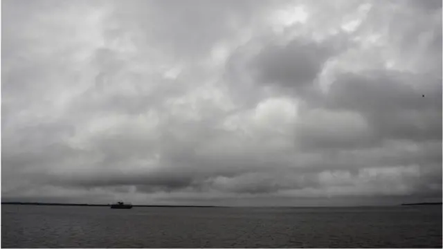 మడ అడవులు