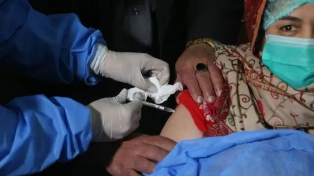 پاکستان، کورونا وائرس، ویکسین