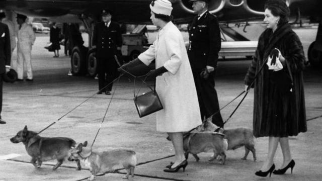 資料圖片：姐妹倆1962年10月19日遛狗。